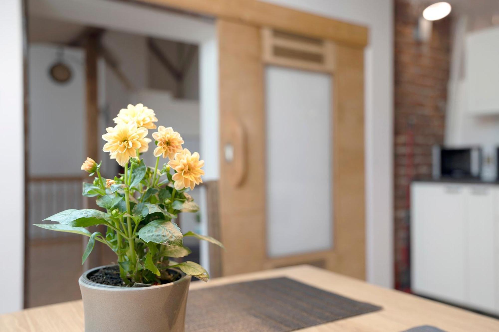 Loft Sven Daire Baden-Baden Dış mekan fotoğraf